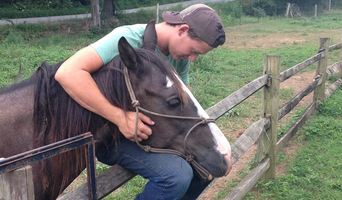 Wrangler sitting on a split-rail paddock fence hugging a dark horse in a green pasture
