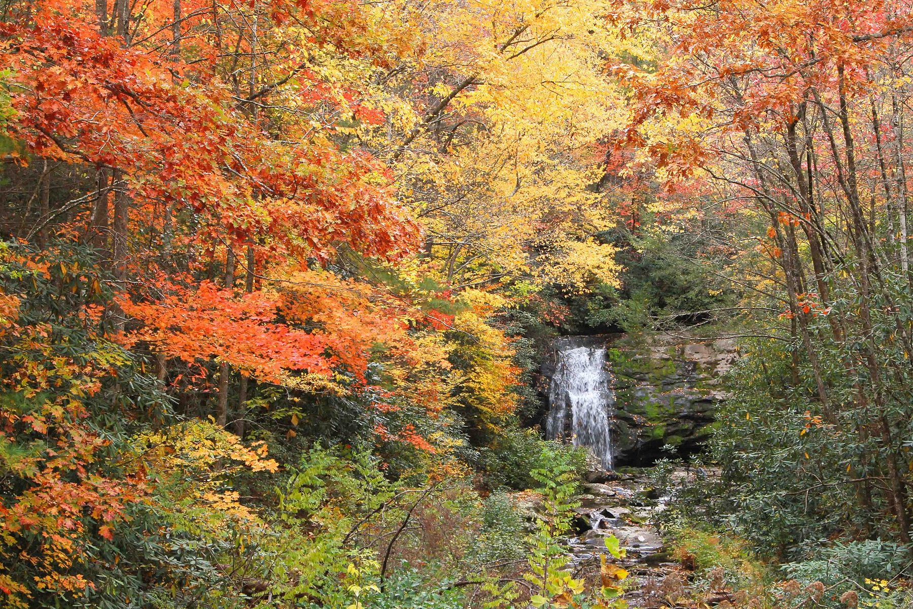 Meigs Falls spilling over a rock ledge framed by orange and yellow autumn trees