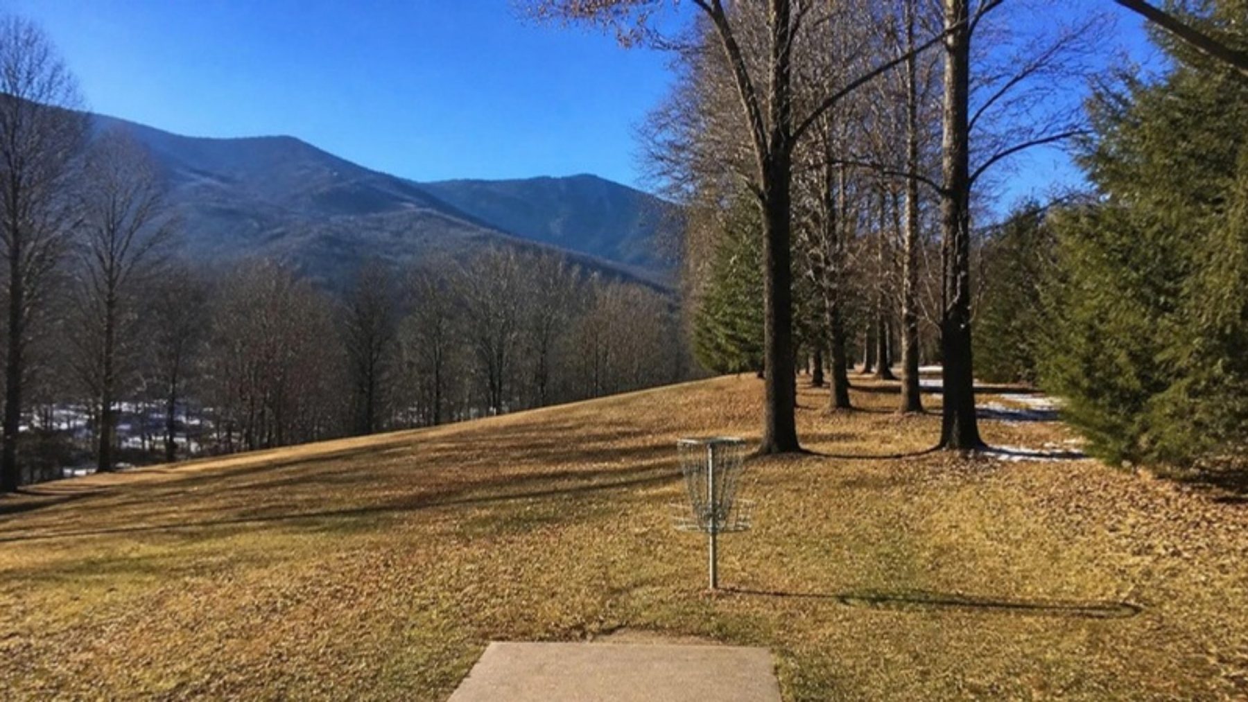 Disc golf basket and concrete tee pad in a sloping golden grass field edged by tall bare hardwoods, with forested Smoky Mountain ridges beyond