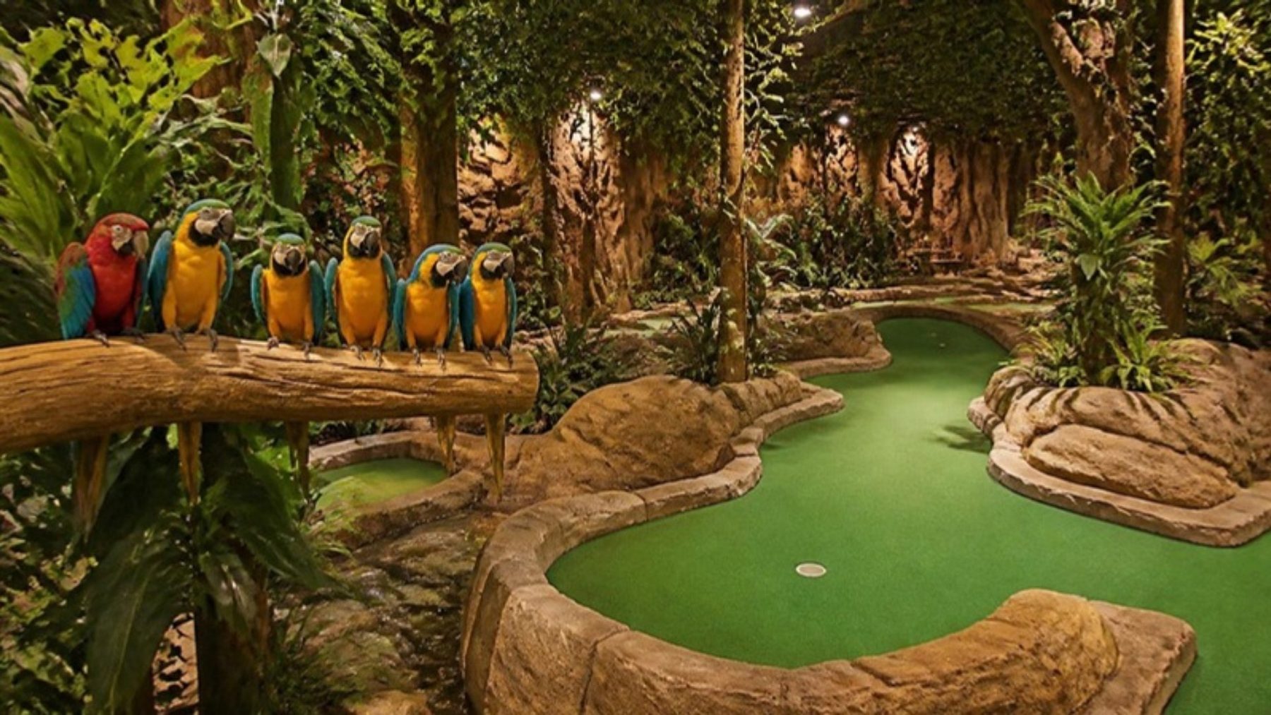 Indoor jungle-themed mini golf course with winding green putting surfaces, faux rock borders, tropical plants and a row of macaws perched on a branch