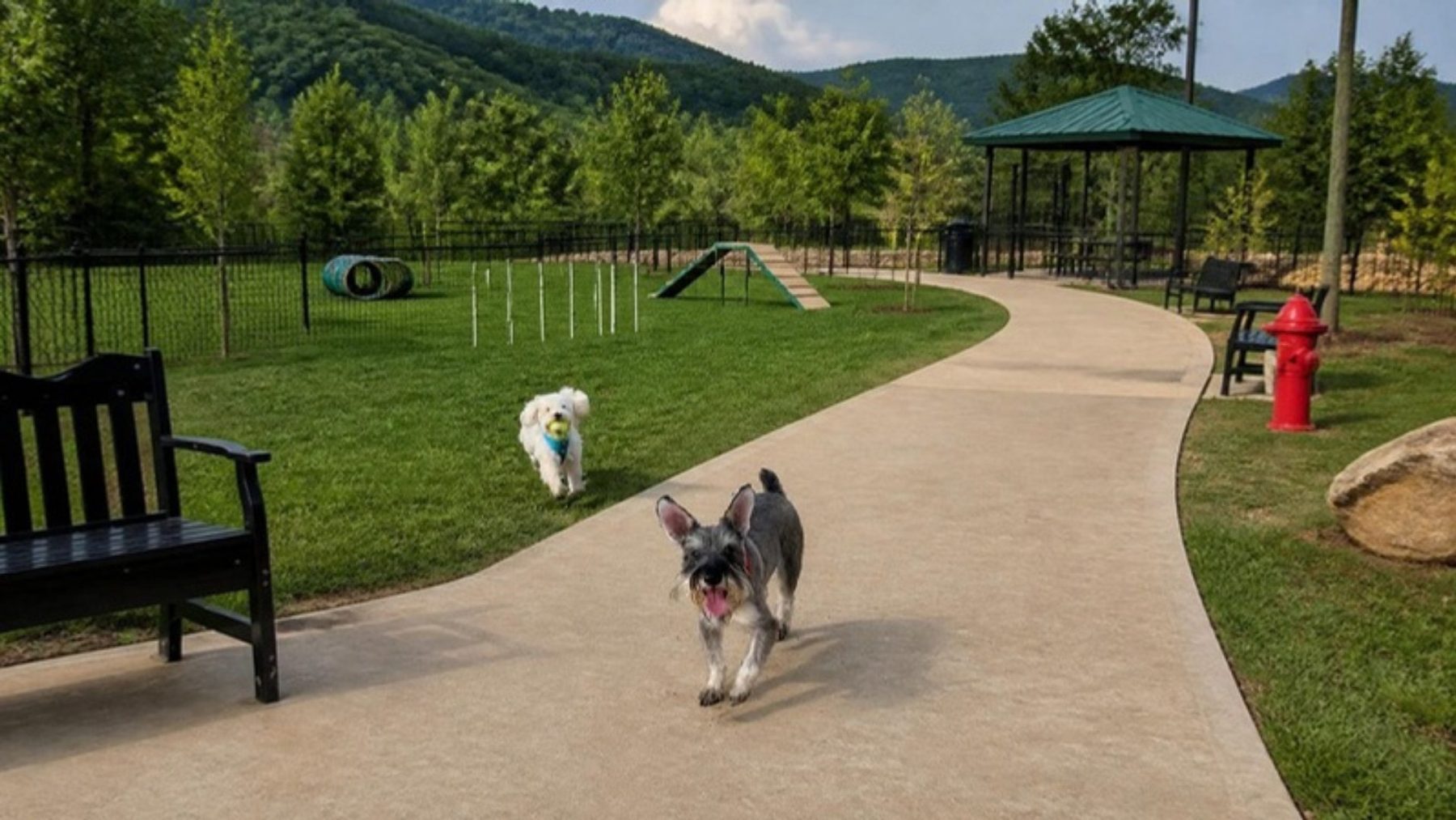 Two small dogs running off leash along a concrete path at a fenced, grassy dog park with benches, a hydrant play feature and a shade gazebo