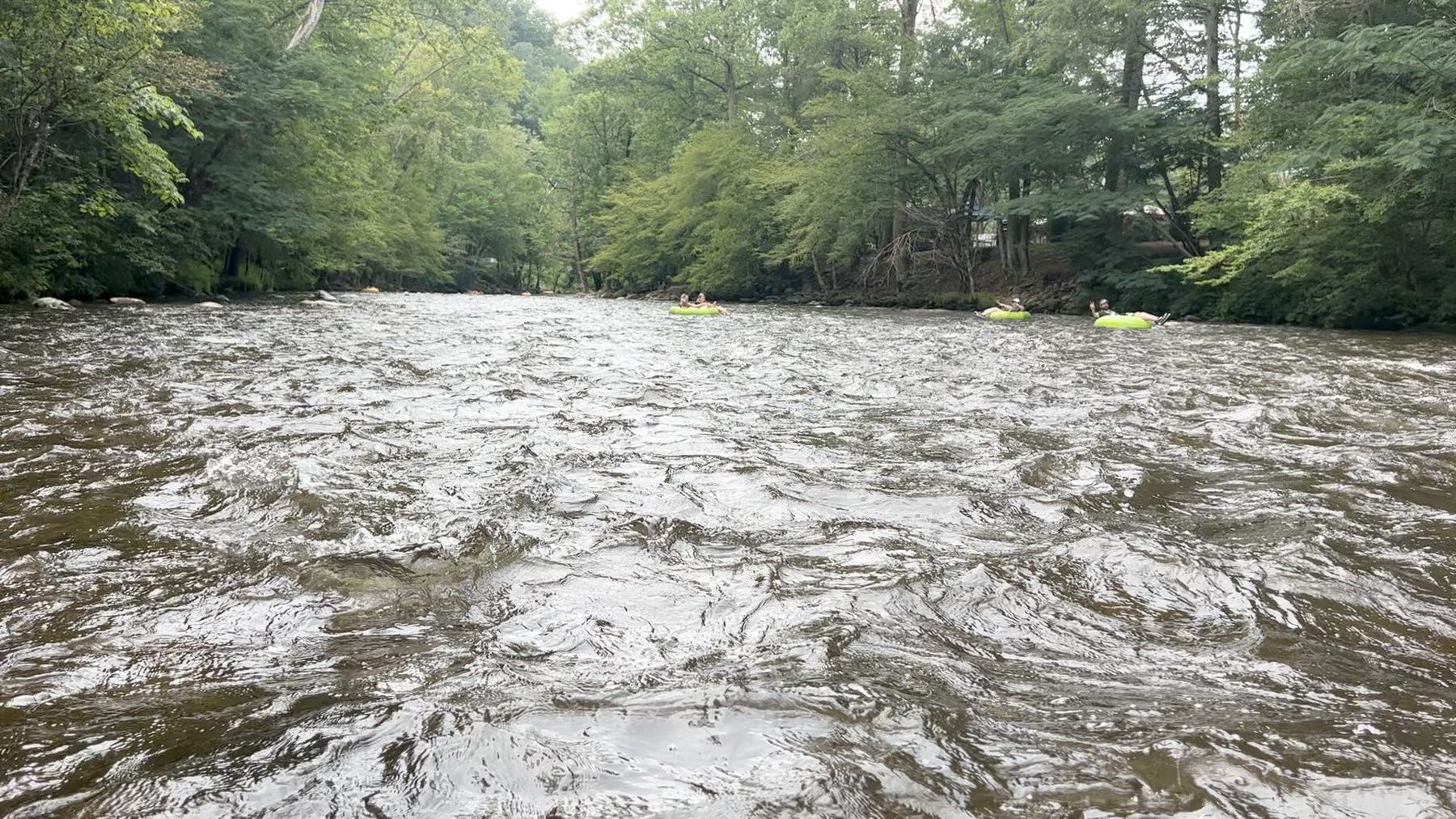 Tubers floating down a riffle on the tree-lined Little River in Townsend