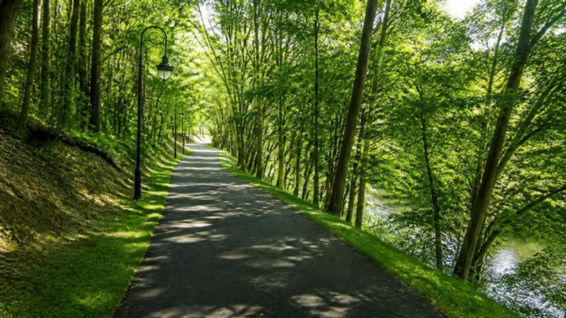 Paved greenway path lined with lamp posts curving through shady green trees beside the river in Pigeon Forge