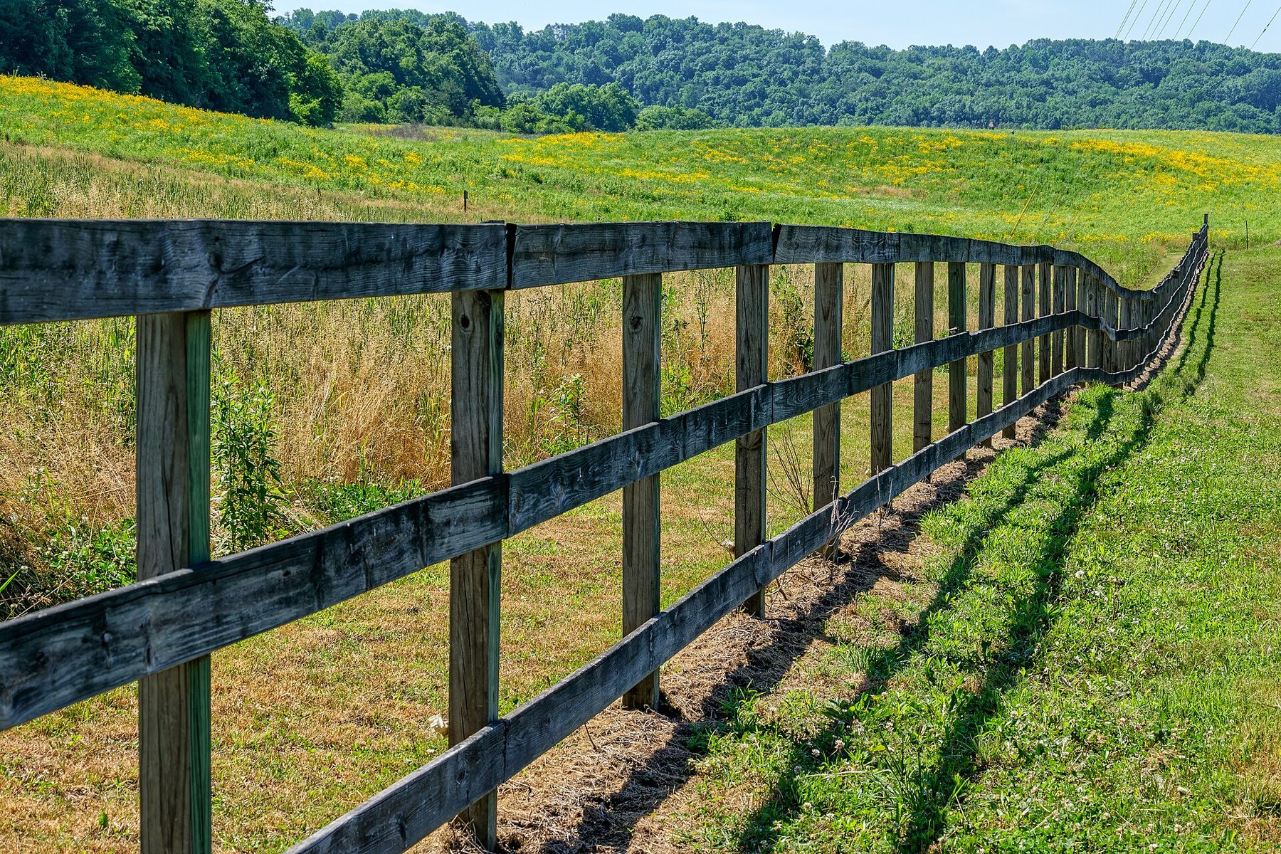 Long wooden fence following rolling green meadows at Seven Islands State Birding Park