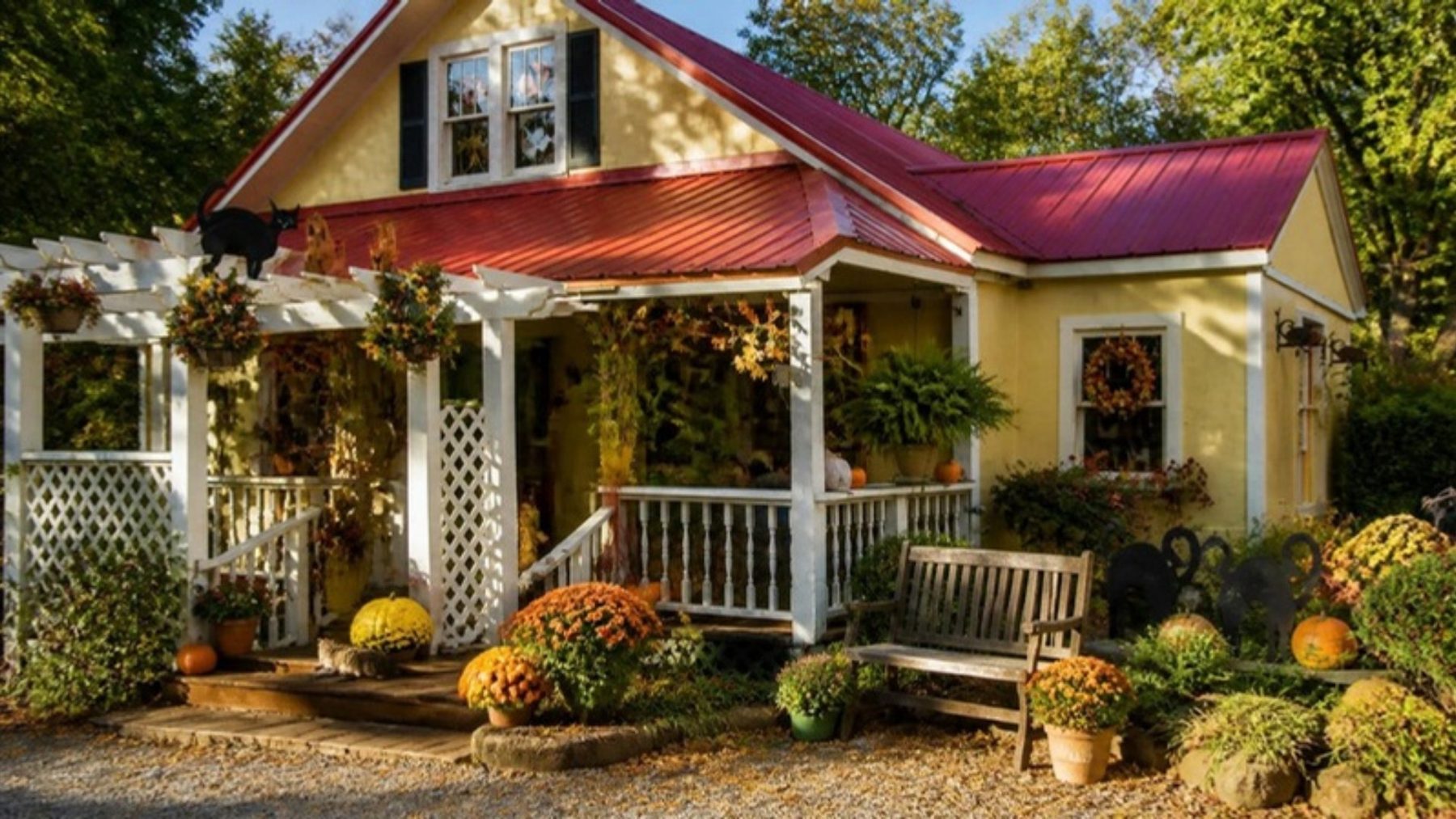Pale yellow cottage shop with a red metal roof, white porch lattice and pergola, flowers and pumpkins out front