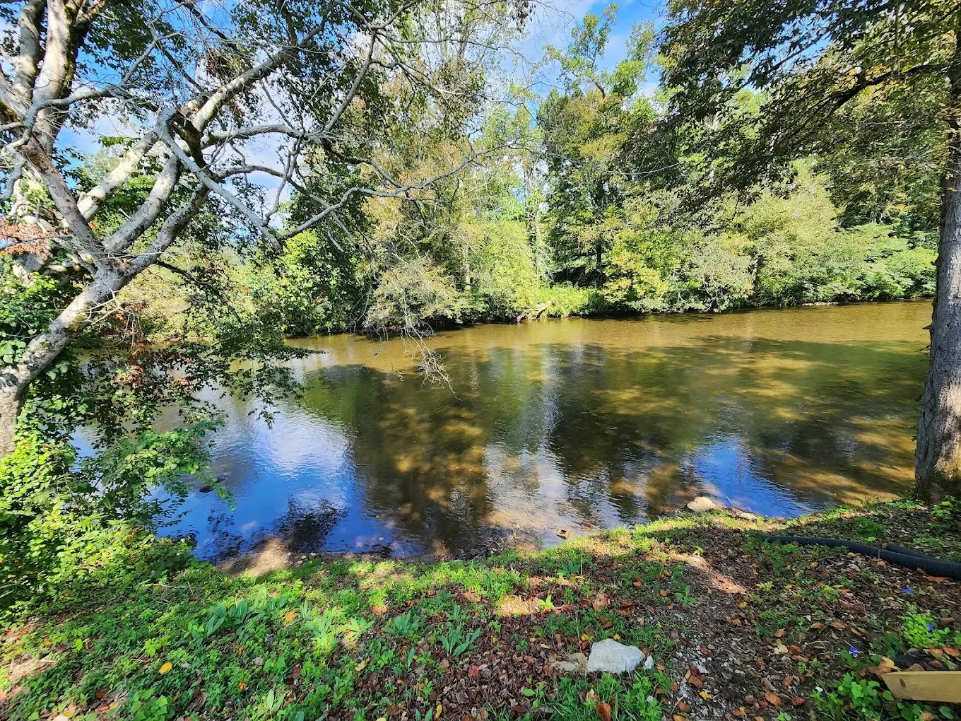 Tree-lined riverbank and calm water beside Waylon's Place in Townsend